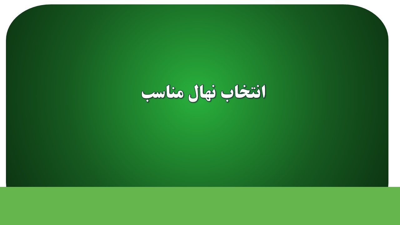 انتخاب نهال مناسب