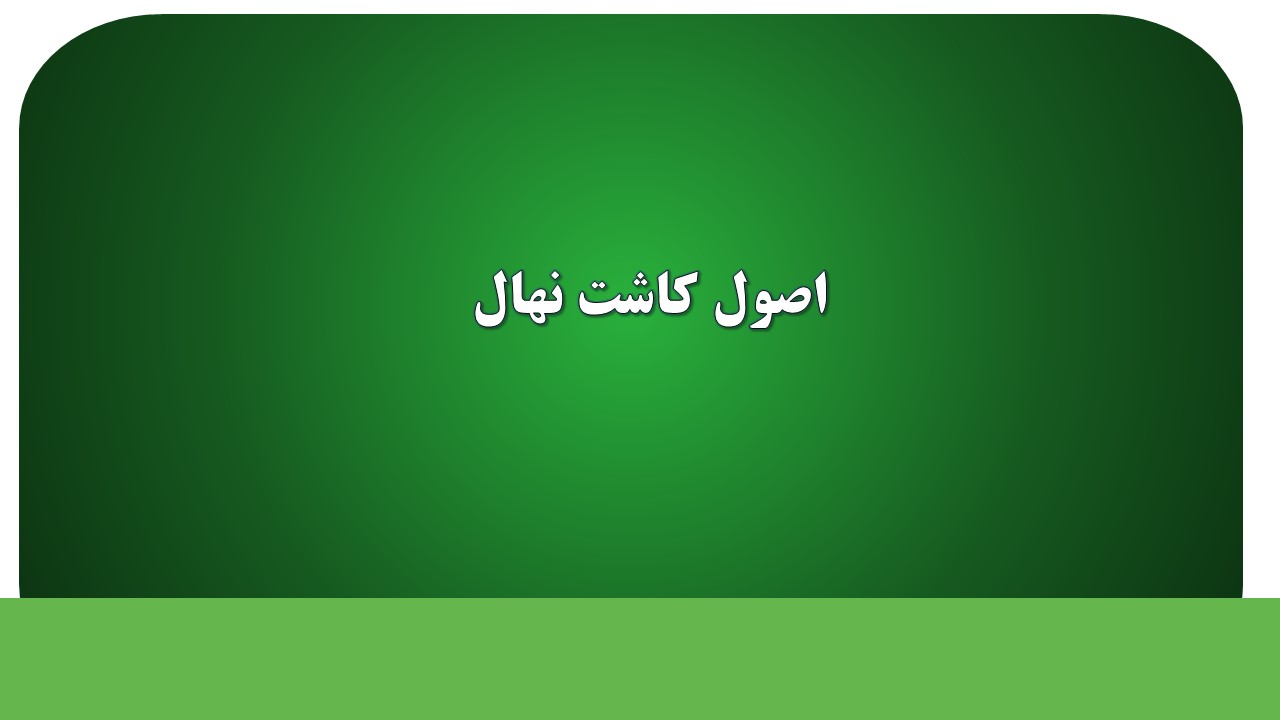 اصول کاشت نهال