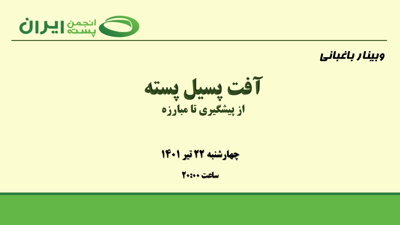 آفت پسیل پسته؛ از پیشگیری تا مبارزه