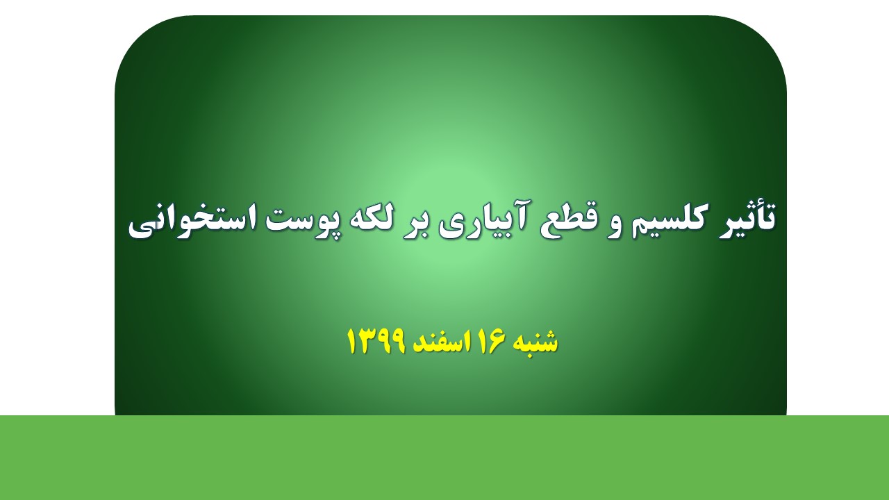 تاثیر کلسیم و قطع آبیاری بر لکه پوست استخوانی